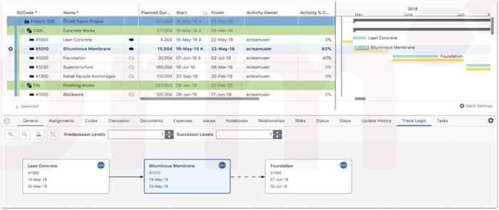 Primavera P6 Web Access Gantt şeması